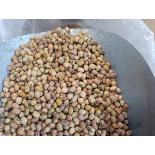 Ata Tohum Börülce 2 KG Ata Tohum Börülce 2 KG