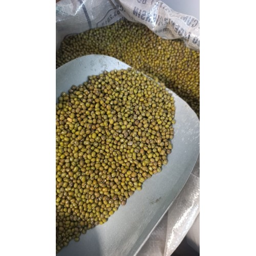 YEŞİL MAŞ 1 KG YEŞİL MAŞ 1 KG