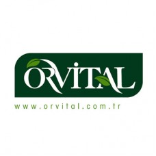 Orvital