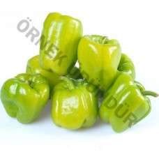 Doğal File Yeşil Dolmalık Biber 500 gr