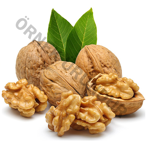 Bigadan Organik Kabuklu Ceviz 1 Kg Bigadan Organik Kabuklu Ceviz 1 Kg