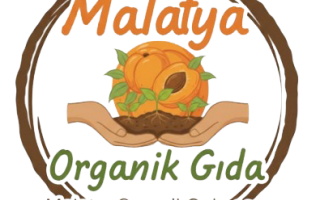 YENİ SİTEMİZ YAYINLANDI!